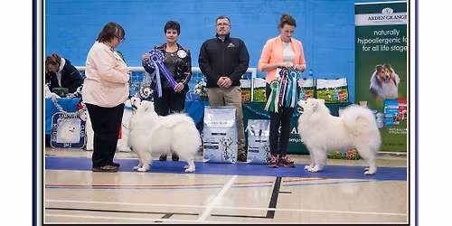 British Samoyed Club Championship Show