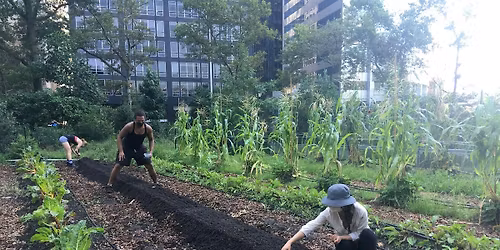 Urban Farming 101 Workshop: Soil & Compost