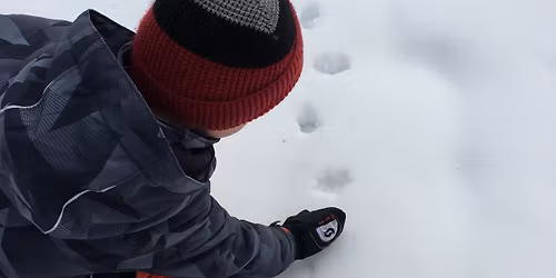 January Homeschool Series: Animal Tracks - Trail Detectives
