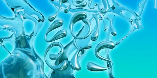 Newcomers \u2013 House & Disco