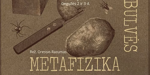 „Bulvės metafizika“, režisierius Orestas Razumas. Projektas (ne)Rezervuota.