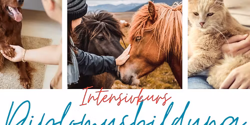 Intensivkurs- Diplomausbildung energetische Tierkinesiologie 