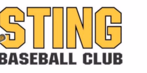 Medina Sting 9U Baseball