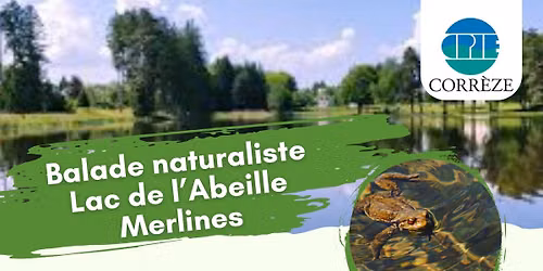 Balade naturaliste Lac de l'Abeille 