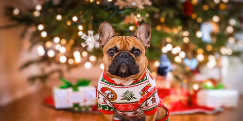 Ugly Christmas Sweater Day!