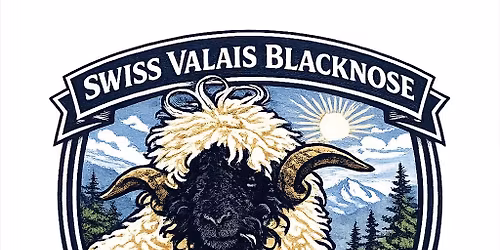 Valais Blacknose West Coast Regional Sheep Show