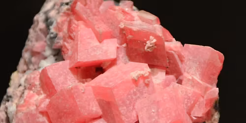 CMS November Meeting and Presentation