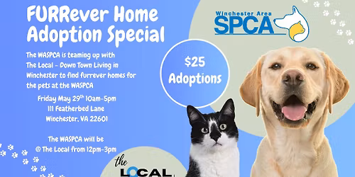 FURRever Home Adoption Special