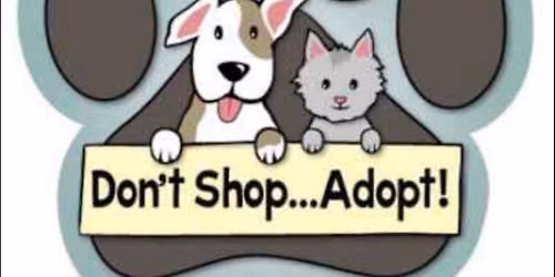 Bunco for the Animals