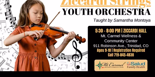 Ziccardi Strings Youth Orchestra