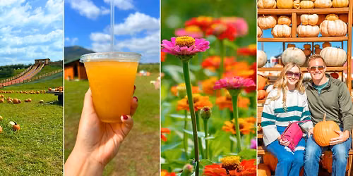 Virginia's Fall Festival & Pumpkin Patch