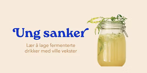 Ung sanker: L\u00e6r \u00e5 lage fermenterte drikker med ville vekster (15-30 \u00e5r)