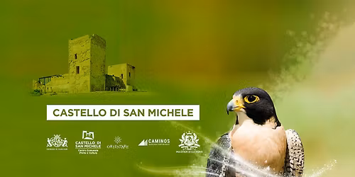 La magia del falco: il fascino della falconeria al Castello di San Michele a Cagliari