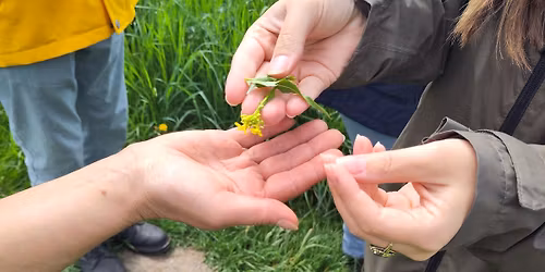 Fr\u00fchjahrskur mit Kr\u00e4utern: Fit in den Fr\u00fchling \u2013 Workshop