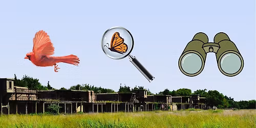 City Nature Challenge Pop-Up