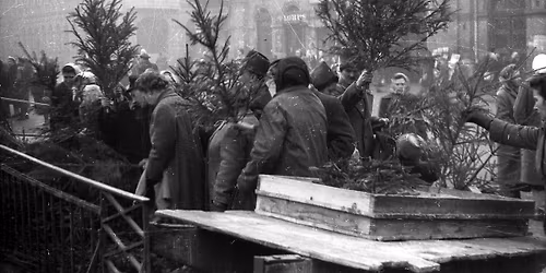 Hatker hatkor: Kar\u00e1csonyi t\u00f6rt\u00e9netek