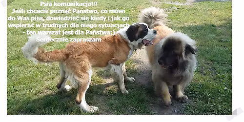 Zaj\u0119cia socjalizacyjne - Psia komunikacja