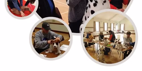 Canine First Aid Course - CPD Accredited