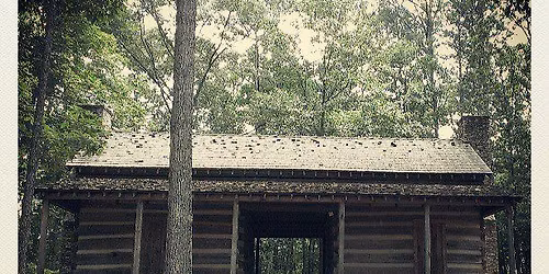 Pioneer Skills Plant Tinctures