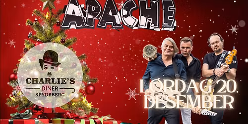 F\u00f8rjulsfest med partybandet Apache