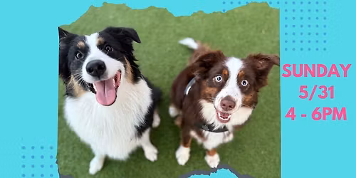 Aussie Meetup