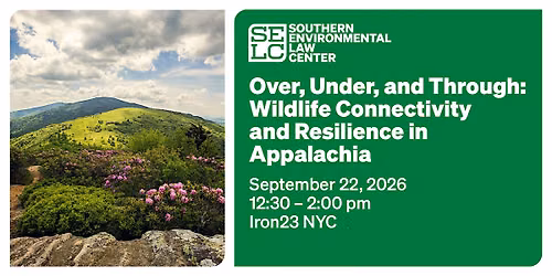 Climate Week NYC - Wildlife Connectivity and Resilience in Appalachia