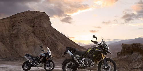 Demo Day - Tigers & Scramblers