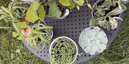 Plant Bingo @ Mascot Brewery