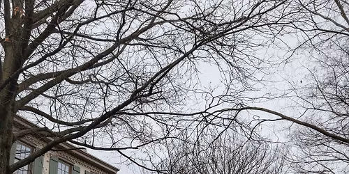 Rep Your Quadrant - POP UP - Official Launch Event 