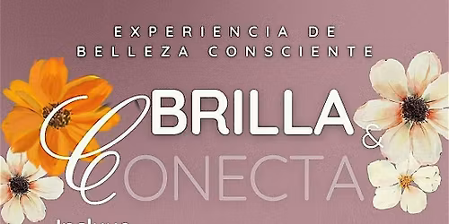 Brilla & Conecta