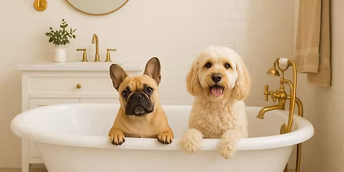 Home Selling, Prep & Staging Workshop