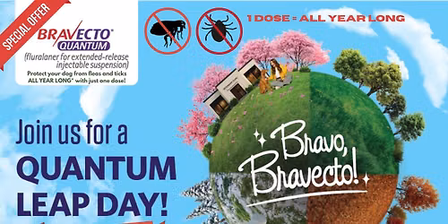 Bravecto Quantum Leap Day - Warren - Say goodby to fleas and ticks!