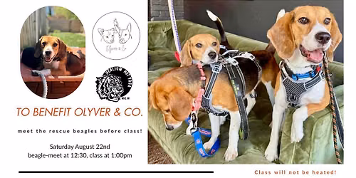 Karma Class: Meet the Rescue Beagles! Benefitting Olyver & Co.