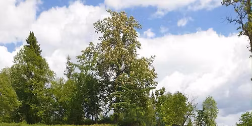 Zdrav\u00e9 Viano\u010dn\u00e9 Trhy Double Tree by Hilton Ko\u0161ice