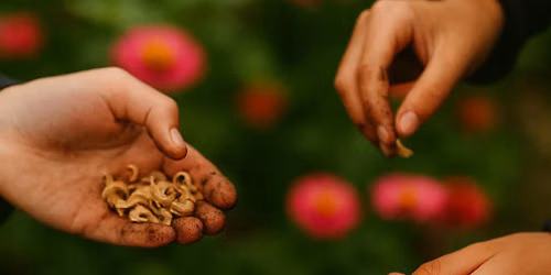 Intro to Seed Saving