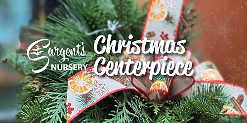Christmas Centerpiece
