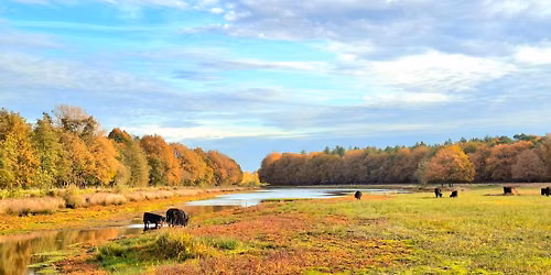 Najaarswandeling Etten-Leur