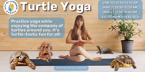 Turtle Yoga