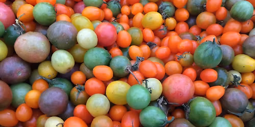 Coronado Certified Farmers' Market