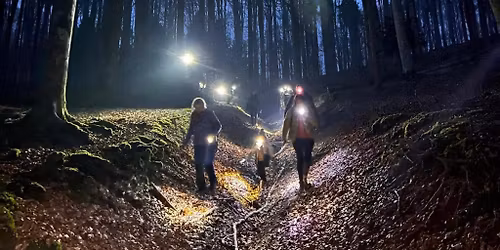 Escursione serale sotto le stelle e cena in Cansiglio