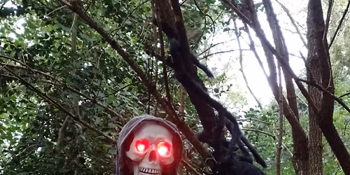 Halloween trail