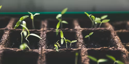 Seed Starting Seminar