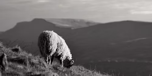 Tone presents Craven Faults