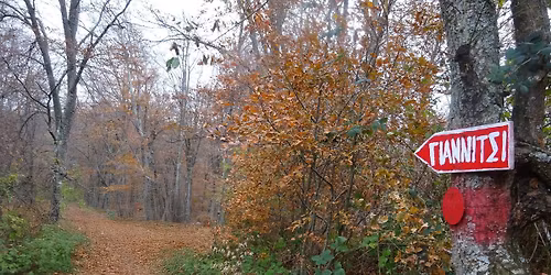 11\/1 \u039a\u0395\u03a1\u0394\u03a5\u039b\u0399\u039f\u039d \u039f\u03a1\u039f\u03a3