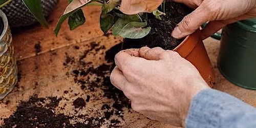 Pints & Plants: Roots Back On Tap