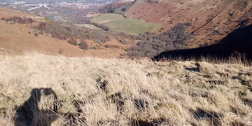 Sunningdale & Eaton walk with Central Norfolk Wellbeing Walks