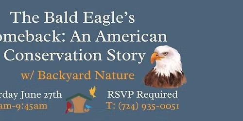 The Bald Eagle\u2019s Comeback: An American Conservation Story