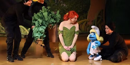 Die Schl\u00fcmpfe - das Musical