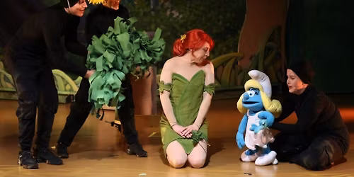 Die Schl\u00fcmpfe - das Musical