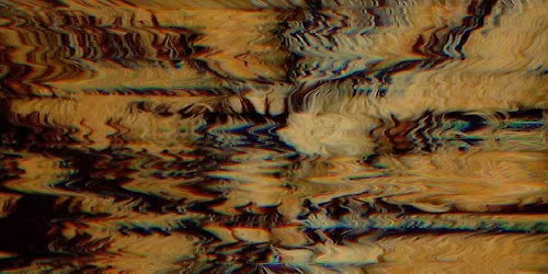 A house full of tigers \/ workshop